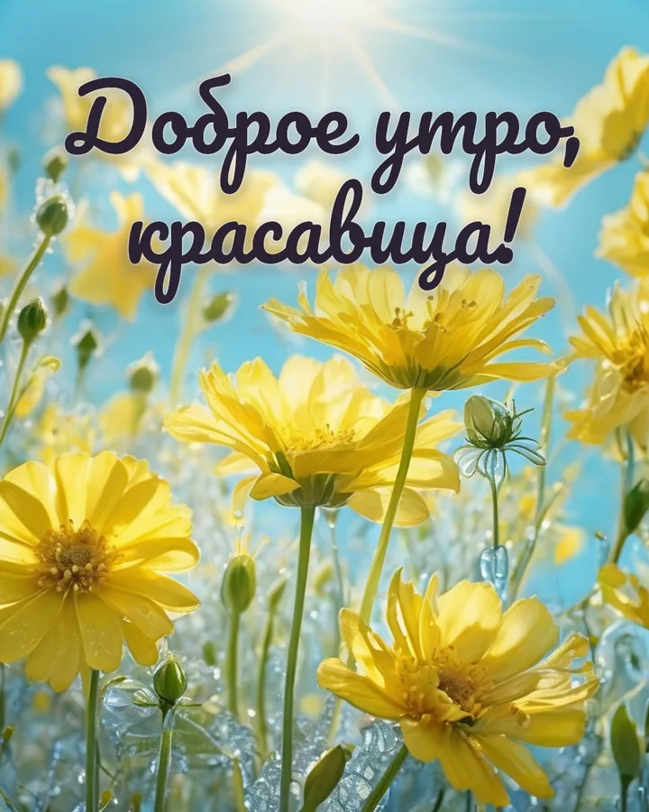 Открытка с добрым утром женщине с утренними цветами: цветы в утренних лучах, надпись «Доброе утро, красавица!»